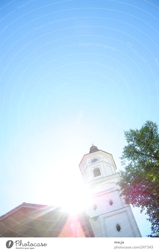 historisch Pflanze Himmel Wolkenloser Himmel Schönes Wetter Baum München Deutschland Bayern Europa Kirche Architektur Turm Sehenswürdigkeit Turmuhr Stein Holz