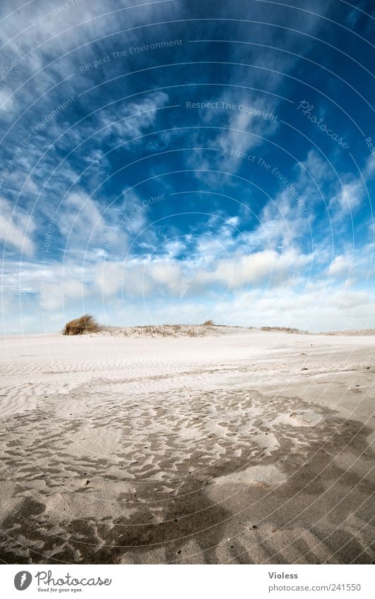 Spiekeroog |...there is no one Landschaft Sand Himmel Wolken Sommer Nordsee Erholung blau Insel Ferien & Urlaub & Reisen Strandspaziergang Farbfoto