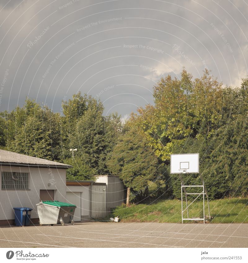 spielplatz Ballsport Basketballplatz Basketballkorb Natur Himmel Wolkenloser Himmel Sonnenlicht Sommer Pflanze Baum Gras Wiese Haus Platz Bauwerk Gebäude