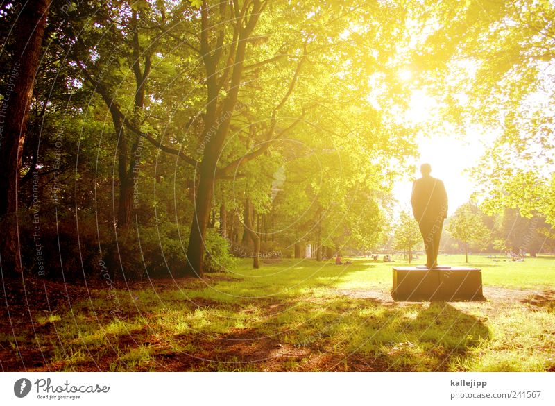 bürgerpark Lifestyle Freizeit & Hobby Spielen Sommer Mensch Umwelt Natur Landschaft Klima Schönes Wetter Pflanze Baum Gras Park Wiese stehen Picknick Pankow