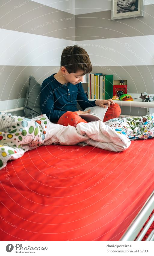 Junge liest ein Buch Lifestyle Freude Glück ruhig Freizeit & Hobby lesen Schlafzimmer Kind Schule Mensch Mann Erwachsene Kindheit Kultur Spielzeug Lächeln