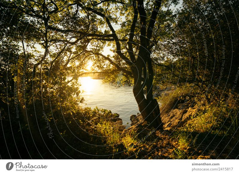 Natur Umwelt Landschaft Pflanze Wasser Sonnenaufgang Sonnenuntergang Sonnenlicht Sommer Baum Küste Seeufer Meer Insel Fluss ästhetisch Ferne frei frisch