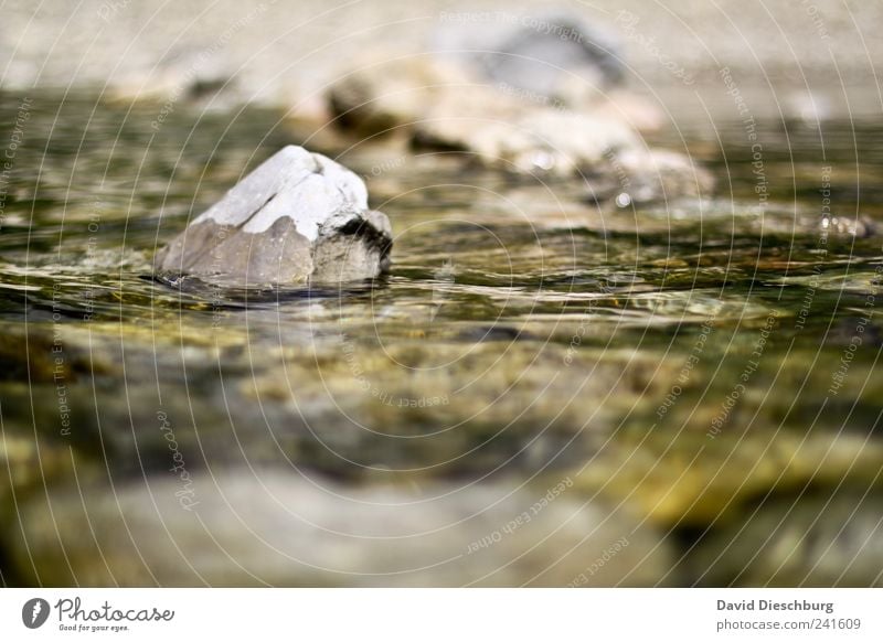 Gegen den Strom Natur Landschaft Wellen Flussufer braun grün weiß Strömung Stein Gewässer Wasseroberfläche Farbfoto Außenaufnahme Nahaufnahme Tag Licht Kontrast