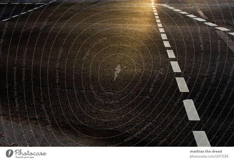 ES IST GRÜN Verkehr Verkehrswege Personenverkehr Straßenverkehr Fußgänger Straßenkreuzung Ampel Schilder & Markierungen Hinweisschild Warnschild dunkel Asphalt