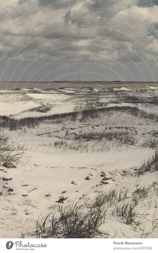 Wattenmeer Natur Landschaft Sand Himmel Wolken Gewitterwolken Sommer Gras Sträucher Strand Nordsee genießen dunkel Ferne kalt Macht Mut träumen Stranddüne