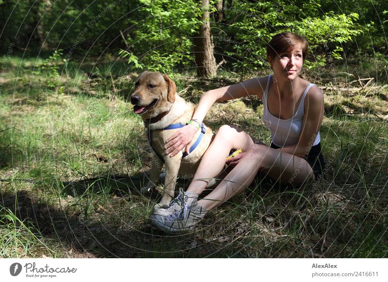 Frau mit blondem Labrador auf der Lichtung Freude harmonisch Ausflug Abenteuer Junge Frau Jugendliche 18-30 Jahre Erwachsene Natur Pflanze Schönes Wetter Baum