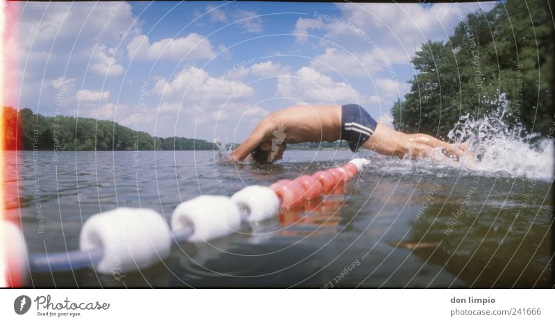 schwupp Schwimmen & Baden Sommer Wassersport Freibad maskulin Junger Mann Jugendliche 1 Mensch 18-30 Jahre Erwachsene Schönes Wetter See Öjendorfer See Bewegung