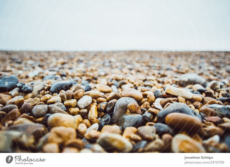 Steinstrand in Brighton, England Umwelt Natur Landschaft fest Strand Strandspaziergang nass kalt rund Meer Detailaufnahme achtsam ansammeln finden hart