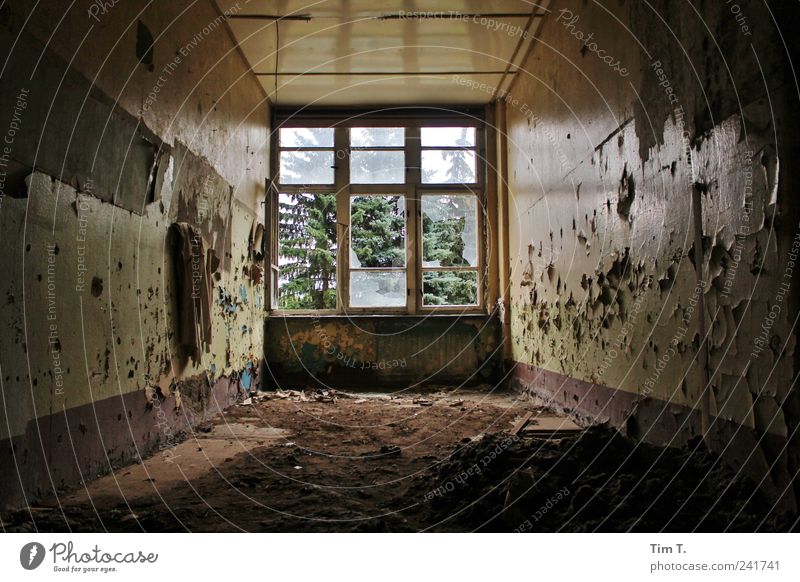 Staub liegt auf der Zeit Bernau Dorf Menschenleer Haus Traumhaus Ruine Bauwerk Gebäude Architektur Mauer Wand Fenster Menschlichkeit Wahrheit Heimweh