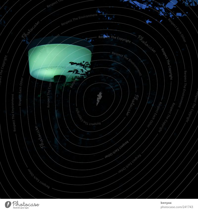 Liebe Laterne Straßenbeleuchtung Lampion leuchten dunkel gruselig kalt Licht grün Nacht Abend Farbfoto Außenaufnahme Menschenleer Textfreiraum rechts Dämmerung