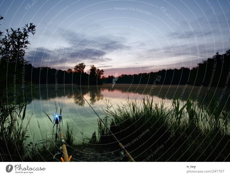 more silence Natur Landschaft Wasser Himmel Wolken Moor Sumpf Teich See Erholung blau grün ruhig Einsamkeit Angeln Angelrute Bayern Morgendämmerung Fisch Angler