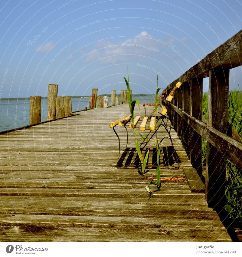 Platz am Bodden Umwelt Natur Landschaft Pflanze Himmel Sommer Küste Seeufer Vorpommersche Boddenlandschaft Holz natürlich Stimmung Erholung Idylle ruhig Steg