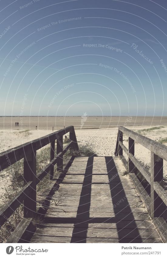 Tideland Umwelt Natur Landschaft Sand Himmel Wolkenloser Himmel Sommer Schönes Wetter Wind Gras Sträucher Küste Strand Nordsee atmen Erholung träumen wandern