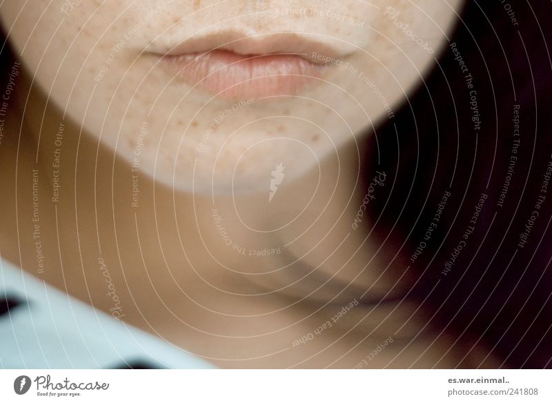 sommer im gesicht feminin Mund Lippen Küssen schön Sommersprossen Farbfoto Schwache Tiefenschärfe