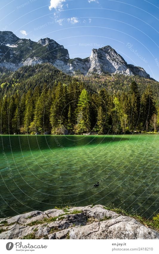 Deutschland Ferien & Urlaub & Reisen Tourismus Ausflug Abenteuer Sommer Sommerurlaub Berge u. Gebirge Natur Landschaft Himmel Schönes Wetter Wald Felsen Alpen