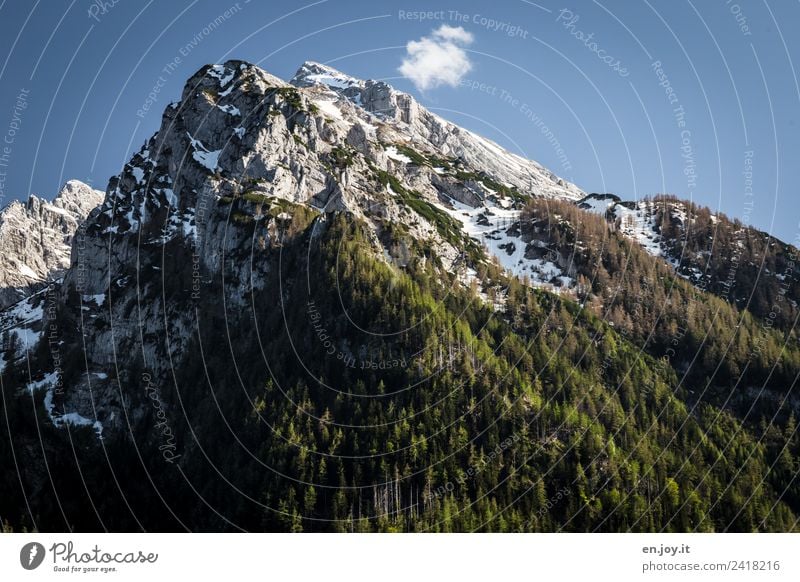 Baumgrenze Ferien & Urlaub & Reisen Ausflug Abenteuer Ferne Berge u. Gebirge wandern Natur Landschaft Himmel Schönes Wetter Wald Felsen Alpen Gipfel hoch Spitze