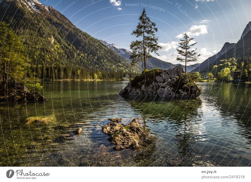 Inselwelt Ferien & Urlaub & Reisen Ausflug Abenteuer Sommer Sommerurlaub Berge u. Gebirge Umwelt Natur Landschaft Pflanze Himmel Schönes Wetter Baum Nadelbaum