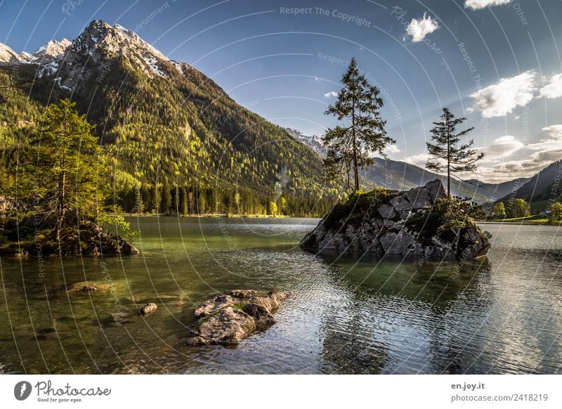 genügsam Ferien & Urlaub & Reisen Ausflug Abenteuer Sommer Sommerurlaub Berge u. Gebirge Natur Landschaft Pflanze Himmel Frühling Schönes Wetter Baum Felsen