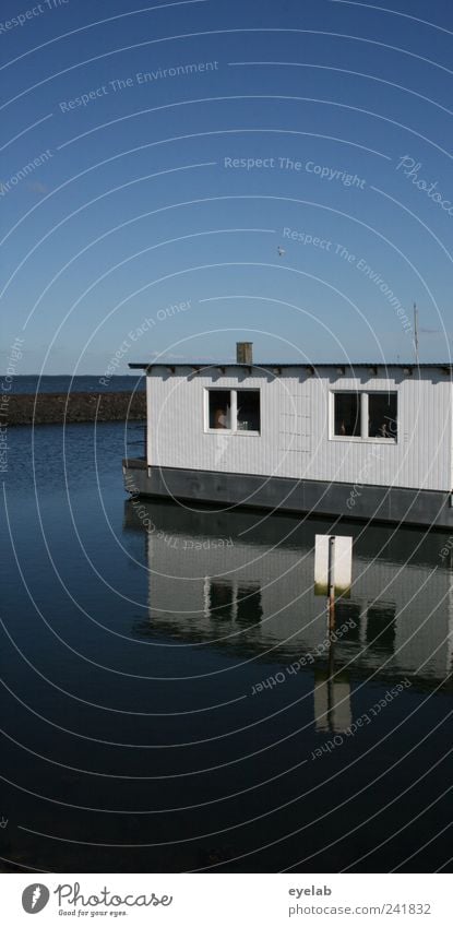 Jedem sein Venedig Umwelt Wasser Wolkenloser Himmel Horizont Klima Wetter Schönes Wetter Meer Haus Einfamilienhaus Traumhaus Hütte Bauwerk Gebäude Architektur