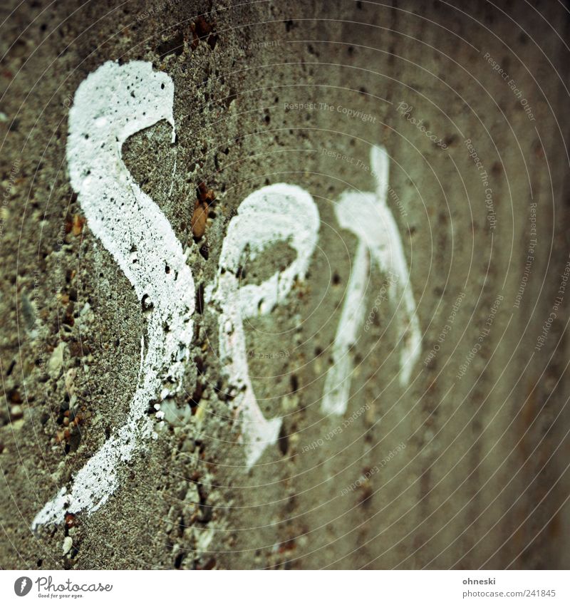 Plakativ Freude Bauwerk Gebäude Mauer Wand Farbstoff Stein Beton Schriftzeichen Graffiti Sex Lebensfreude Euphorie Leidenschaft Vertrauen Warmherzigkeit