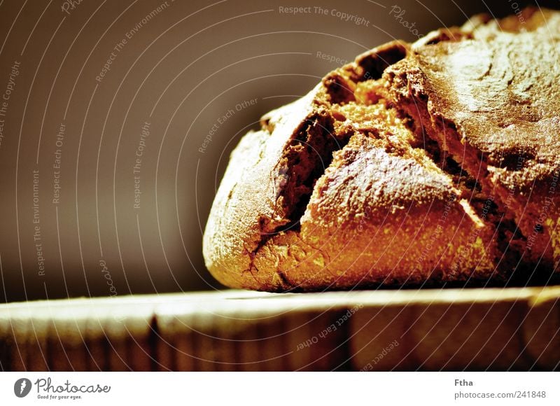 Krustig Lebensmittel Brot Gesundheit lecker Roggenbrot Krustenbrot knusprig Mehl Backwaren Farbfoto Innenaufnahme Nahaufnahme Textfreiraum links