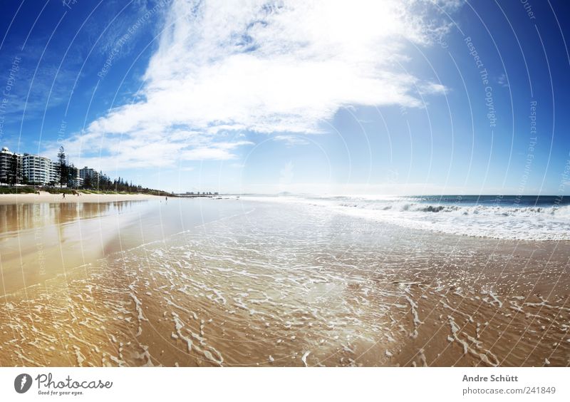 Mooloolaba · Sunshine Coast Lifestyle Erholung Schwimmen & Baden Ferien & Urlaub & Reisen Sommerurlaub Sand Luft Wasser Wolken Sonnenlicht Schönes Wetter Küste