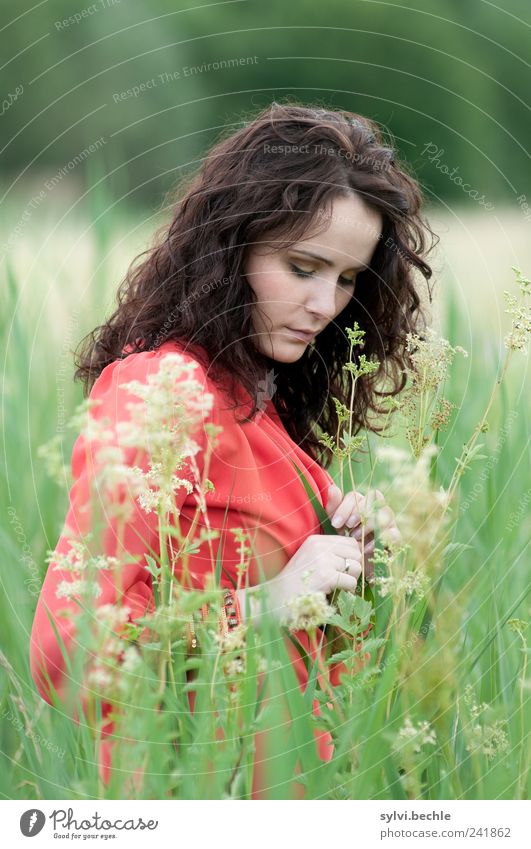 behutsam II elegant Stil schön harmonisch Wohlgefühl ruhig Sommer Mensch feminin Junge Frau Jugendliche Leben 18-30 Jahre Erwachsene Umwelt Natur Pflanze Gras