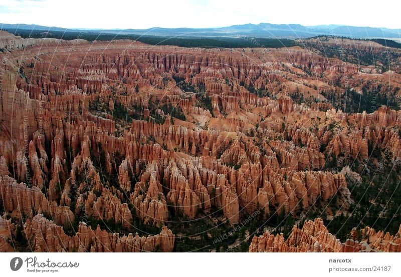 bryce [1] Schlucht Nationalpark Amerika Südwest USA Perspektive Felsen Stein Berge u. Gebirge Gesteinsformationen außergewöhnlich Panorama (Aussicht)