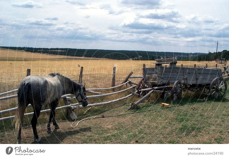 einsames pferd Südwest Amerika Pferd Wiese Wagen Zaun schlechtes Wetter Verkehr USA wiede Wolken