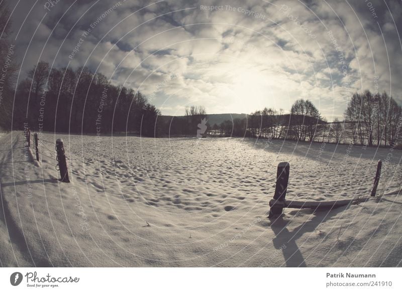 wintriness Landschaft Wolken Sonnenlicht Winter Schönes Wetter Eis Frost Schnee leuchten wandern dunkel frisch glänzend kalt schön blau weiß Gefühle ruhig