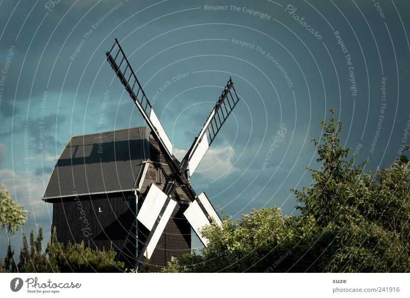 Mühle Landwirtschaft Forstwirtschaft Handwerk Umwelt Natur Landschaft Himmel Wetter Baum Sträucher Bauwerk Gebäude alt historisch Landleben Windmühle Tradition