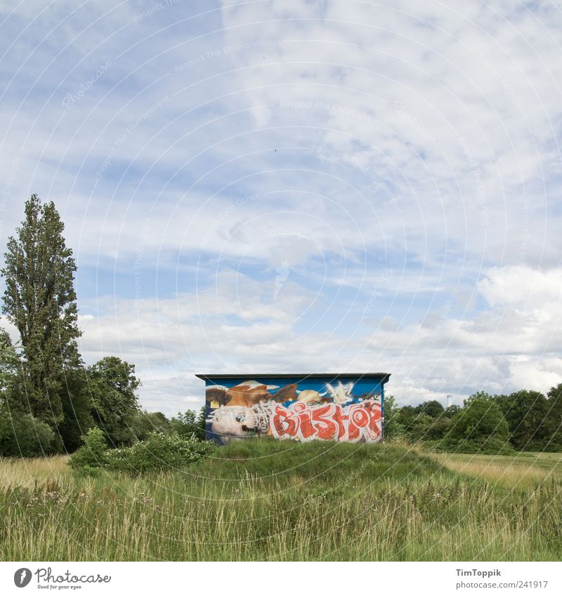 Kuhweide Wiese grün Weide Gras Graffiti Baum Hütte Sträucher Natur Farbfoto