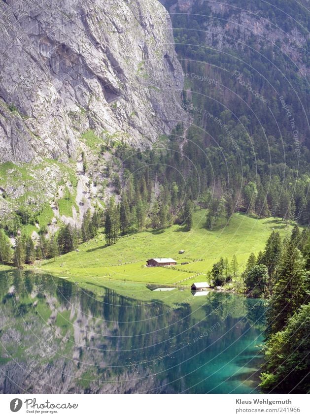 Die Fischunkelalm am Ufer des Obersees in den Alpen. Bei schönem Wetter ein Genuss für die Sinne. Ferien & Urlaub & Reisen Tourismus Ferne Sommer Strand Wellen