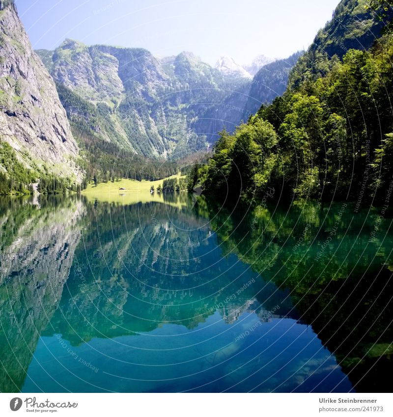 Watermirror Umwelt Natur Landschaft Pflanze Urelemente Erde Luft Wasser Himmel Sonnenlicht Sommer Schönes Wetter Baum Blume Sträucher Felsen Alpen