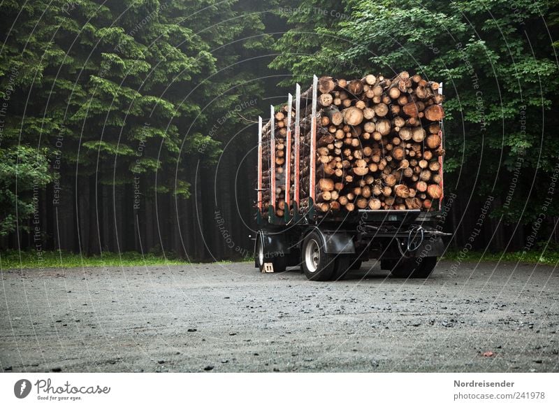 Holz Arbeit & Erwerbstätigkeit Beruf Landwirtschaft Forstwirtschaft Erneuerbare Energie Energiekrise Umwelt Natur Pflanze Verkehr Wege & Pfade Lastwagen