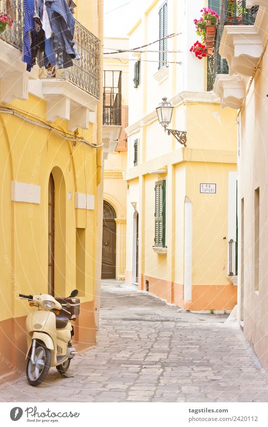 Gallipoli, Apulien - Ein Motorroller in einer historischen Gasse Architektur Balkon Großstadt Europa Fassade Fischerdorf Klappladen Altstadt Historische Bauten