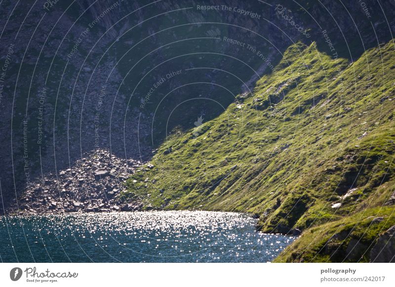 wonderful day Umwelt Natur Landschaft Pflanze Tier Wasser Sonnenlicht Sommer Schönes Wetter Gras Moos Grünpflanze Alpen Berge u. Gebirge See Lebensfreude