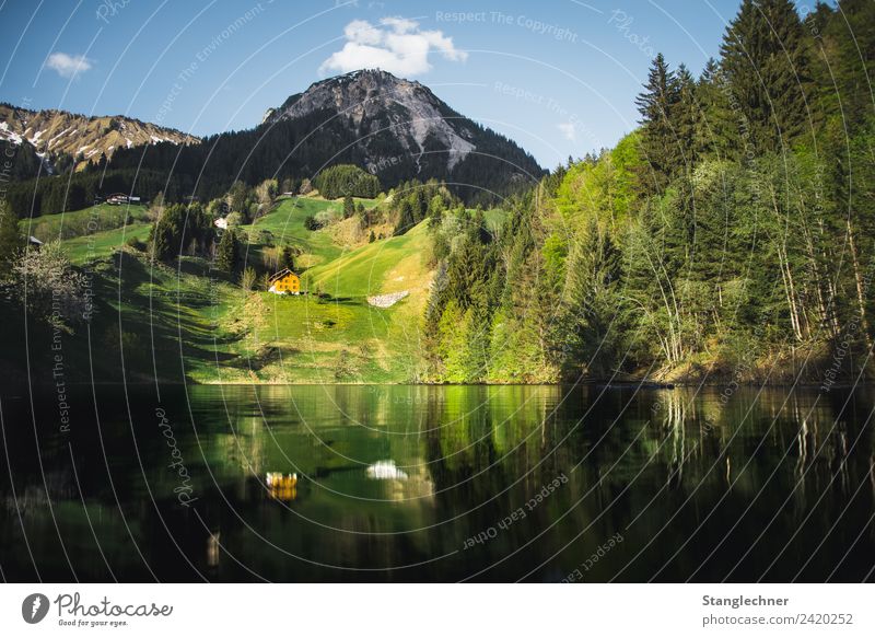 Seewald See Berge u. Gebirge Umwelt Natur Frühling Sommer ästhetisch nass blau Seewaldsee Bundesland Vorarlberg Österreich Alpen Gebirgssee Wald Walsertal