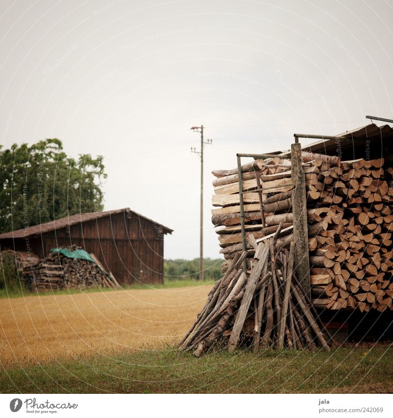 brennholz Natur Landschaft Himmel Sommer Pflanze Baum Gras Grünpflanze Nutzpflanze Wildpflanze Feld Hütte Gebäude Strommast Holz natürlich Brennholz Stapel