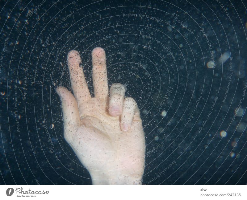 betrunken Fisch Meeresfrüchte Schwimmen & Baden Strand Schwimmbad Arme Hand Finger Wasser Wassertropfen Fluss tauchen Coolness frisch unten blau Stimmung