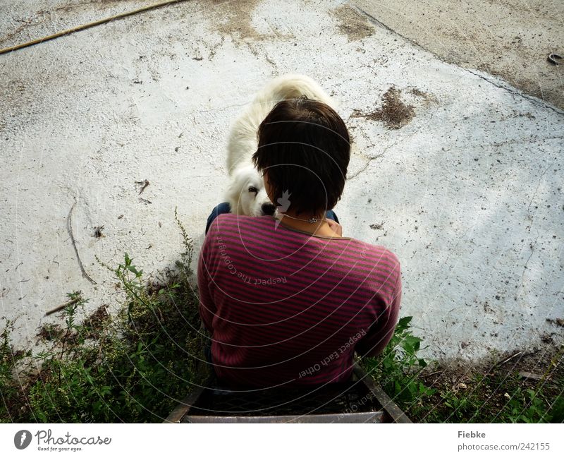 Hundeblick Rücken 1 Mensch Sommer Schönes Wetter schwarzhaarig kurzhaarig Tier Haustier sitzen Glück natürlich Vertrauen Schutz Einigkeit loyal Freundschaft