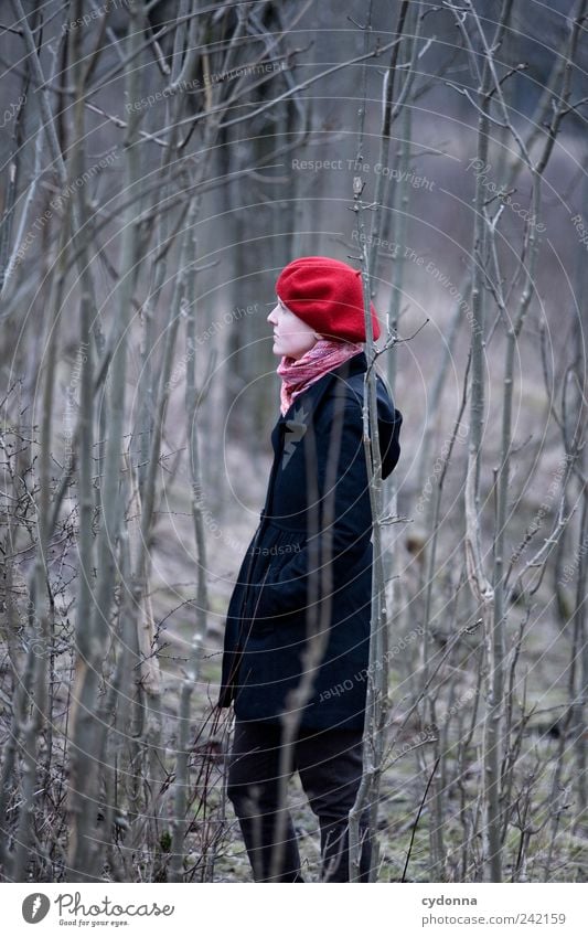 Draussen elegant Gesundheit Erholung ruhig Ausflug Abenteuer Ferne Freiheit Umwelt Natur Landschaft Baum Wald Mantel Mütze Einsamkeit Gefühle Hoffnung Leben