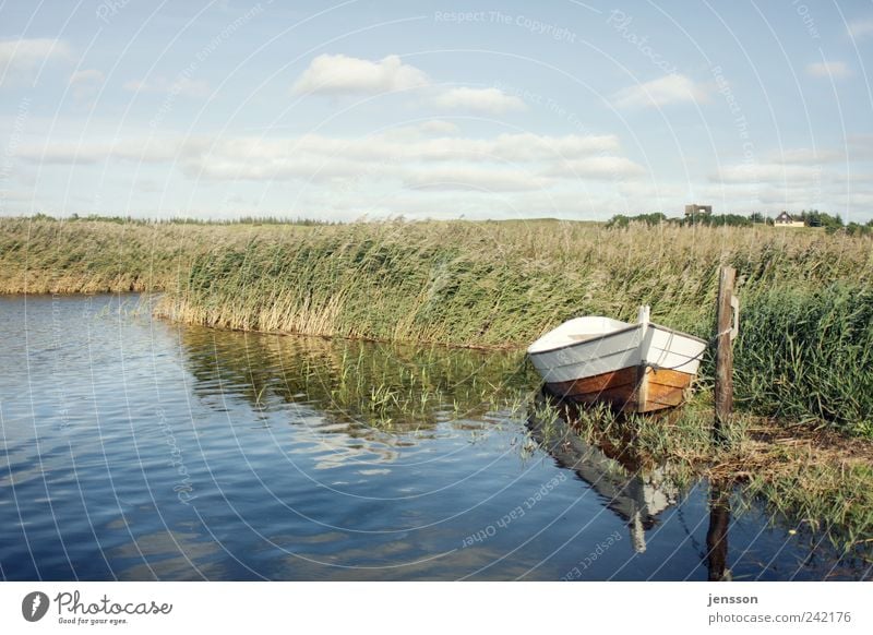 Nussschale Angeln Ferien & Urlaub & Reisen Ausflug Sommer Sommerurlaub Umwelt Natur Landschaft Seeufer Fischerboot Ruderboot Schwimmen & Baden nass ruhig