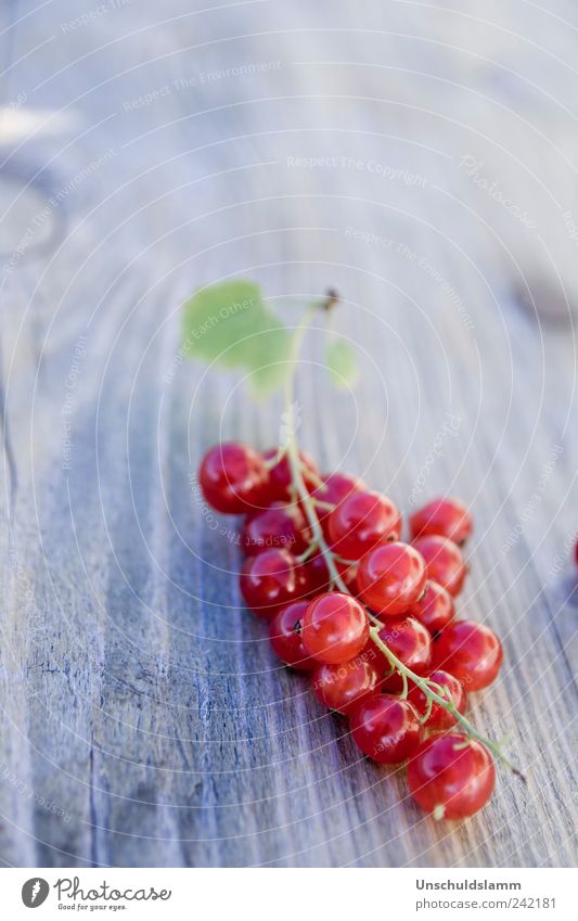 Hannes` Beeren Lebensmittel Frucht Johannisbeeren Ernährung Picknick Bioprodukte Sommer Garten Natur Pflanze Holz frisch Gesundheit lecker rund süß rot genießen