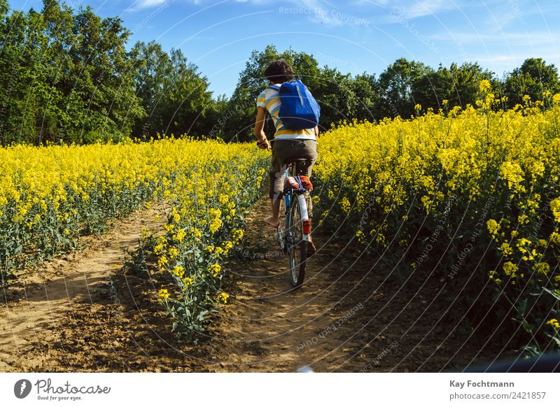 Junger Mann fährt mit dem Fahrrad durch ein Rapsfeld Glück Leben Zufriedenheit Freizeit & Hobby Ferien & Urlaub & Reisen Tourismus Ausflug Freiheit Expedition