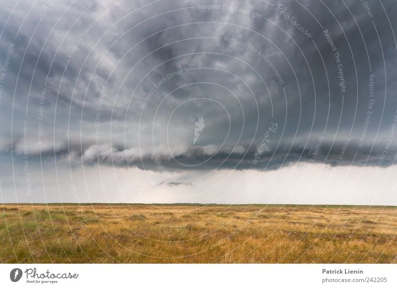 Escape Insel Umwelt Natur Landschaft Pflanze Urelemente Erde Himmel Wolken Gewitterwolken Klima Klimawandel Wetter schlechtes Wetter Unwetter Wind Sturm Regen