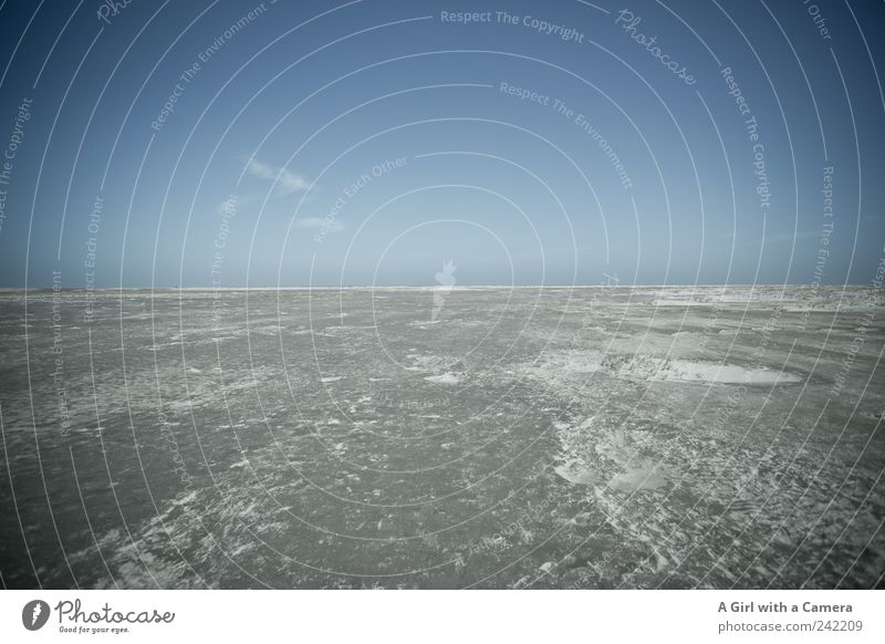 Spiekeroog l weit Strand Meer Umwelt Natur Landschaft Urelemente Sand Himmel Horizont Sommer Wetter Schönes Wetter Küste authentisch außergewöhnlich gigantisch