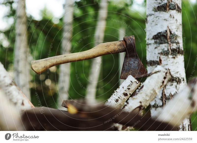 Hacken von Birken mit Axt für Brennholz sparen Garten Arbeit & Erwerbstätigkeit Industrie Natur Baum Gras Wald Holz natürlich wild braun grün hacken geschnitten