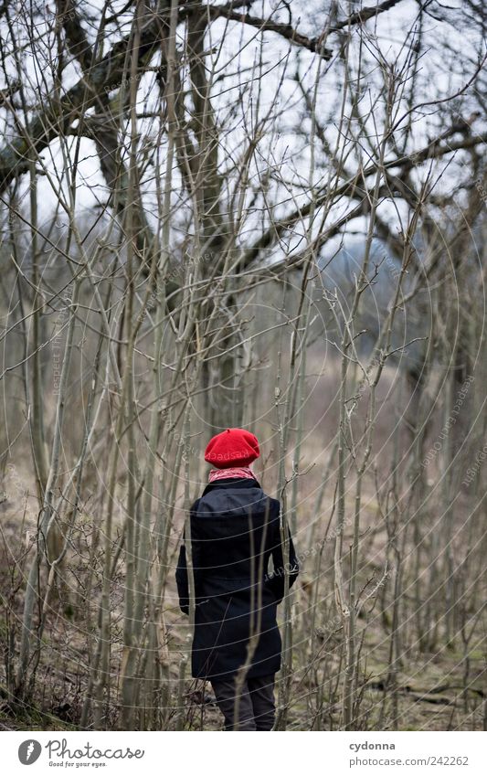 Farbakzent elegant Stil exotisch Erholung ruhig Ausflug Abenteuer Ferne Freiheit Mensch Junge Frau Jugendliche Umwelt Natur Landschaft Baum Wald Mantel Mütze