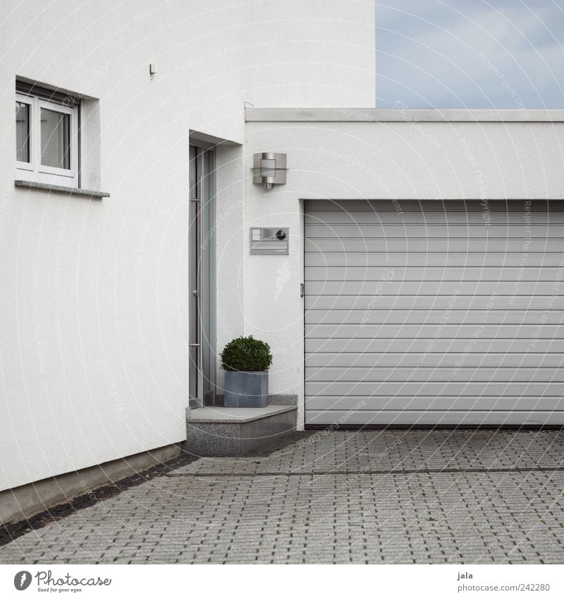 modern Himmel Topfpflanze Haus Einfamilienhaus Bauwerk Gebäude Architektur Mauer Wand Fassade Fenster Tür Garagentor blau grau weiß Farbfoto Außenaufnahme